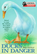 Ducks in Danger cover