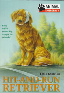 Hit-and-Run Retriever cover