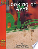 Looking at Ants cover