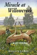 Miracle at Willowcreek cover