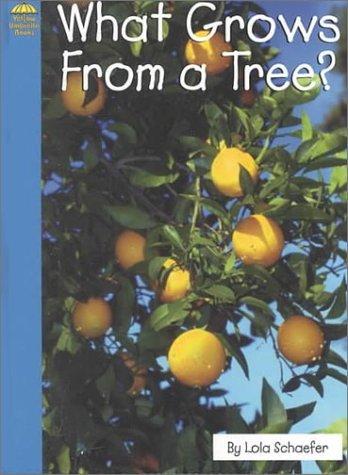 What Grows from a Tree? cover