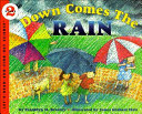 Down Comes the Rain cover