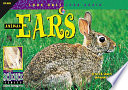 Animal Ears cover