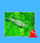 Homes and Habits of Insects cover