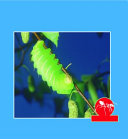 Lives of Insects cover