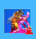 People and Insects cover