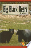 Big Black Bears cover