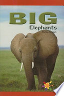 Big Elephants cover