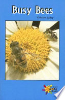 Busy Bees cover