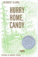 Hurry Home, Candy cover