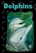 Dolphins cover