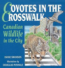 Coyotes in the Crosswalk cover