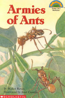 Armies of Ants cover