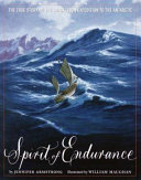 Spirit of Endurance cover