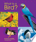 What Is a Bird? cover
