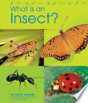 What Is an Insect? cover