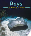 Rays cover