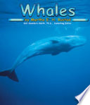 Whales cover
