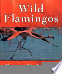Wild Flamingos cover