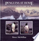 Penguins at Home: Gentoos of Antarctica cover