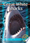Great White Sharks cover