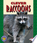 Clever Raccoons cover