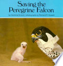 Saving the Peregrine Falcon cover