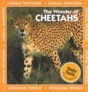 The Wonder of Cheetahs cover