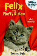 Felix the Fluffy Kitten cover