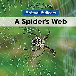 A Spider's Web cover