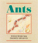 Ants cover