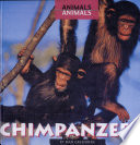 Chimpanzees cover