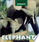 Elephants cover