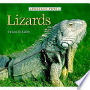 Lizards cover