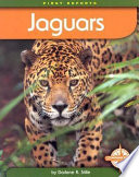 Jaguars cover