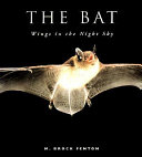 The Bat: Wings in the Night Sky cover