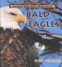 Bald Eagles (The Really Wild Life of Birds of Prey) cover