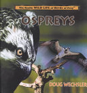 Ospreys (The Really Wild Life of Birds of Prey) cover