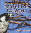 Peregrine Falcons (The Really Wild Life of Birds of Prey) cover