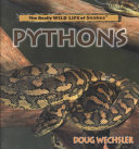 Pythons (The Really Wild Life of Snakes) cover