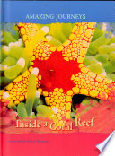 Inside a Coral Reef cover