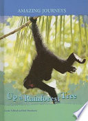 Up a Rainforest Tree cover