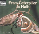 From Caterpillar to Moth cover
