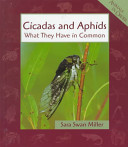 Cicadas and Aphids: What They Have in Common cover