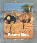 Bizarre Birds cover