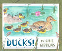 Ducks! cover