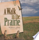 A Walk in the Prairie cover