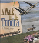 A Walk in the Tundra cover