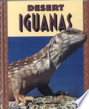 Desert Iguanas cover
