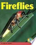 Fireflies cover